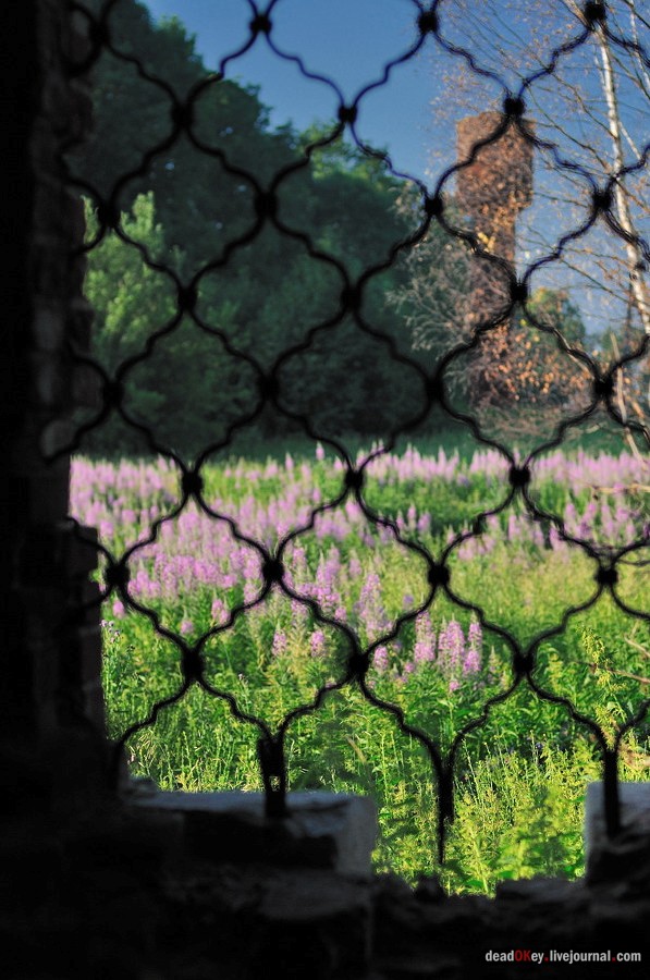 усадьба Клины