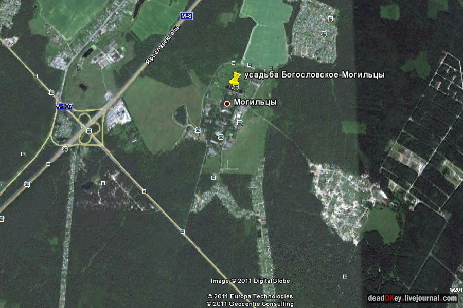 усадьба Богословское-Могильцы