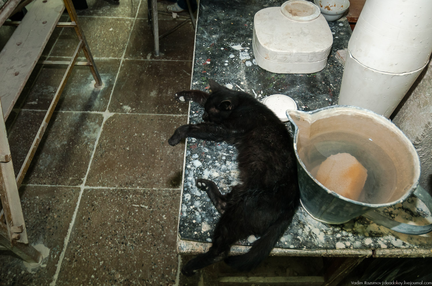 Фарфоровый завод, Вербилки