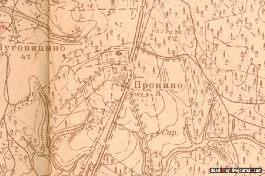 усадьба Пронино