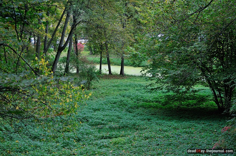 усадьба Ясная Поляна