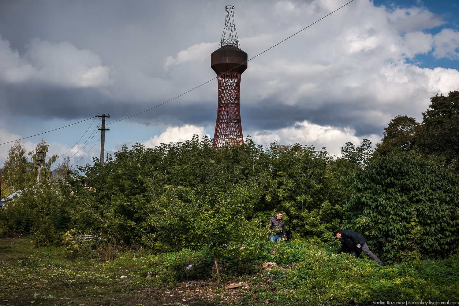 усадьба Полибино, Липецкая область, Усадебные волонтеры 21 сентября 2019 года