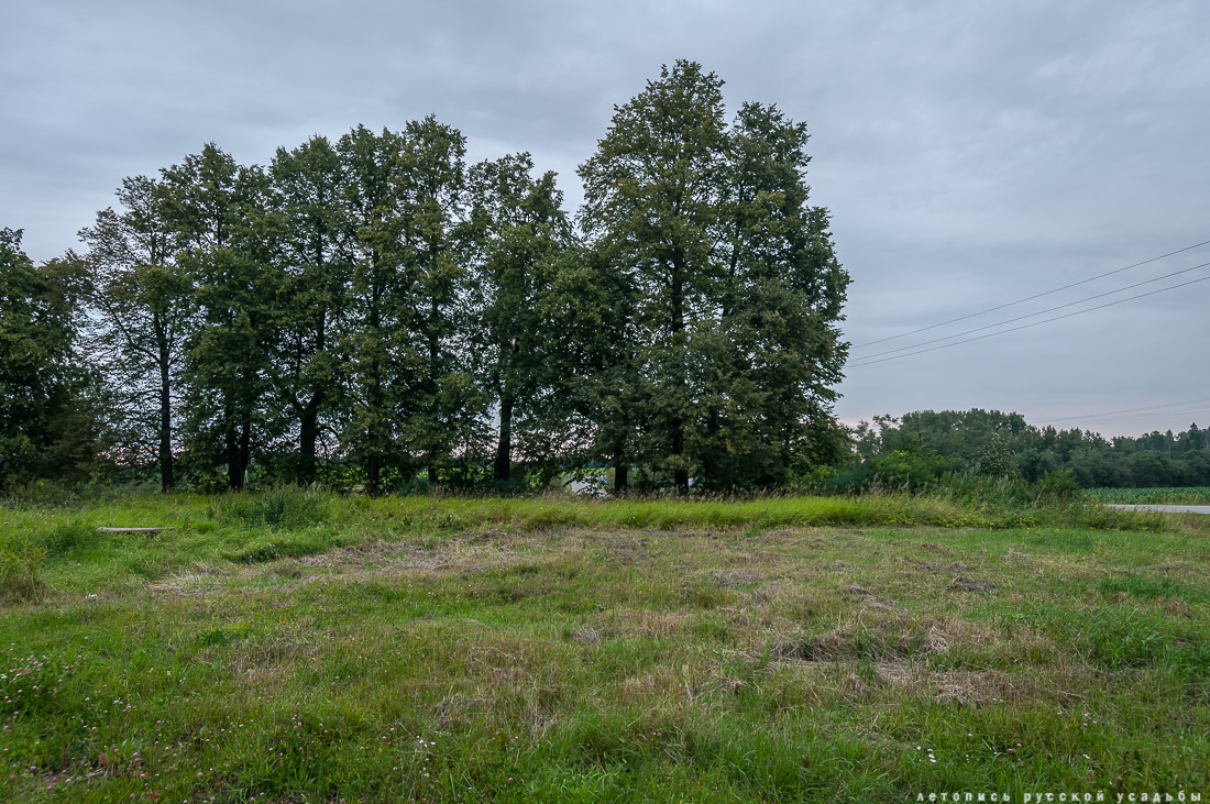 усадьба Юркино, храм Рождества Христова