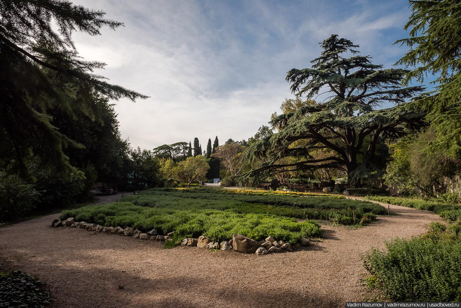 Никитский ботанический сад