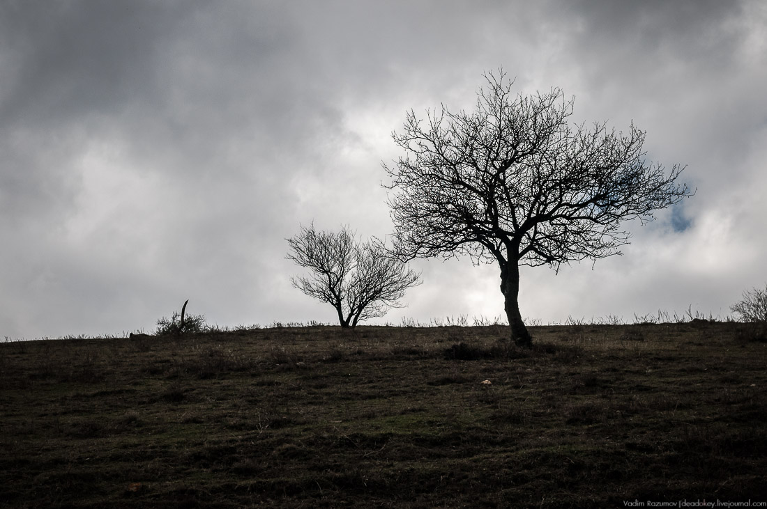Башенный комплекс Фалхан, Ингушетия, Джейрахское ущелье.