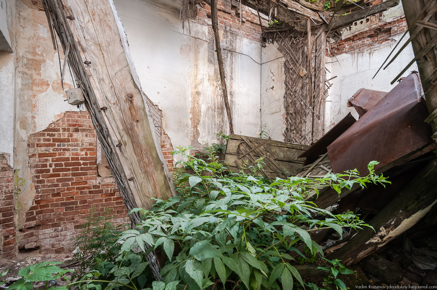 усадьба Старое Зимино, Рязанская область, волонтерский субботник, интервью