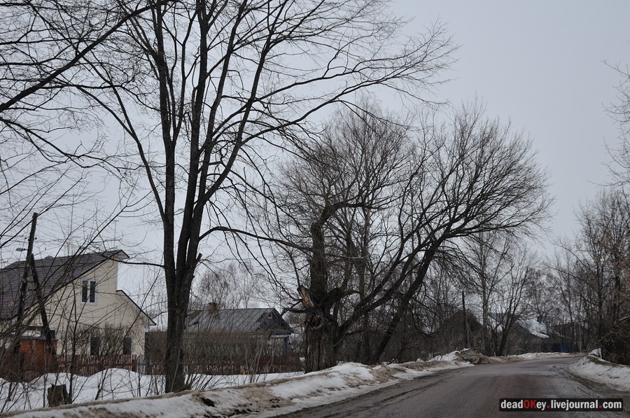 усадьба Авдотьино