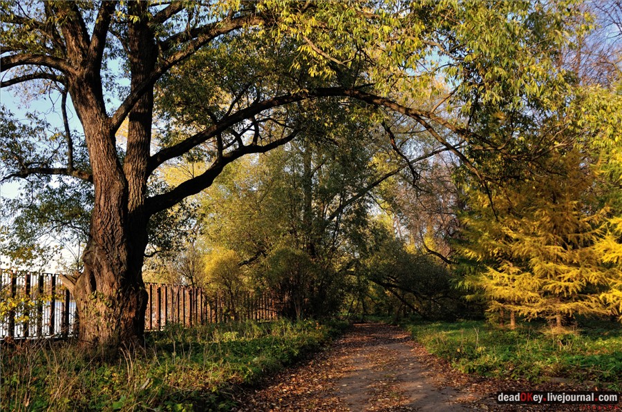 усадьба Петровское-Разумовское