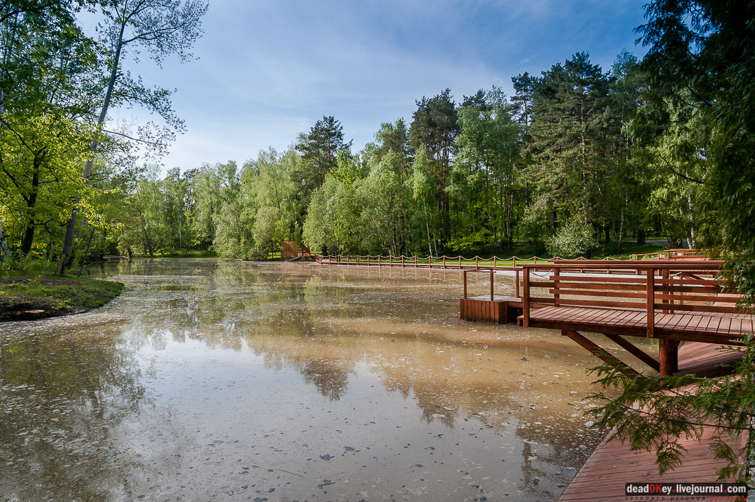усадьба Мамоново, Сколково, Гусева полоса
