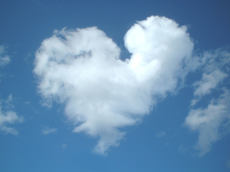 http://2.bp.blogspot.com/_FLOdkE6QFwU/TD4ZdieDKjI/AAAAAAAAFG4/lOQD4ONa5xo/s1600/Love_is_in_the_air.jpg