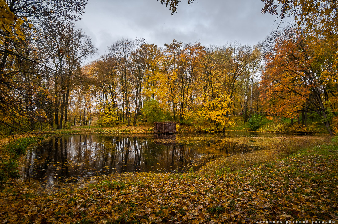 усадьба Ясная Поляна Льва Николаевича Толстого, Тульская область, осенью