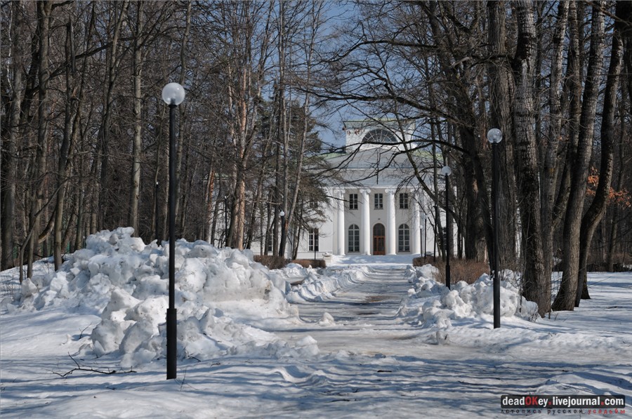 Ионический ордер в усадьбах