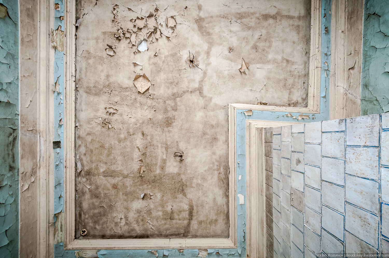 Интерьеры усадьбы Петрово-Дальнее, Дурнево