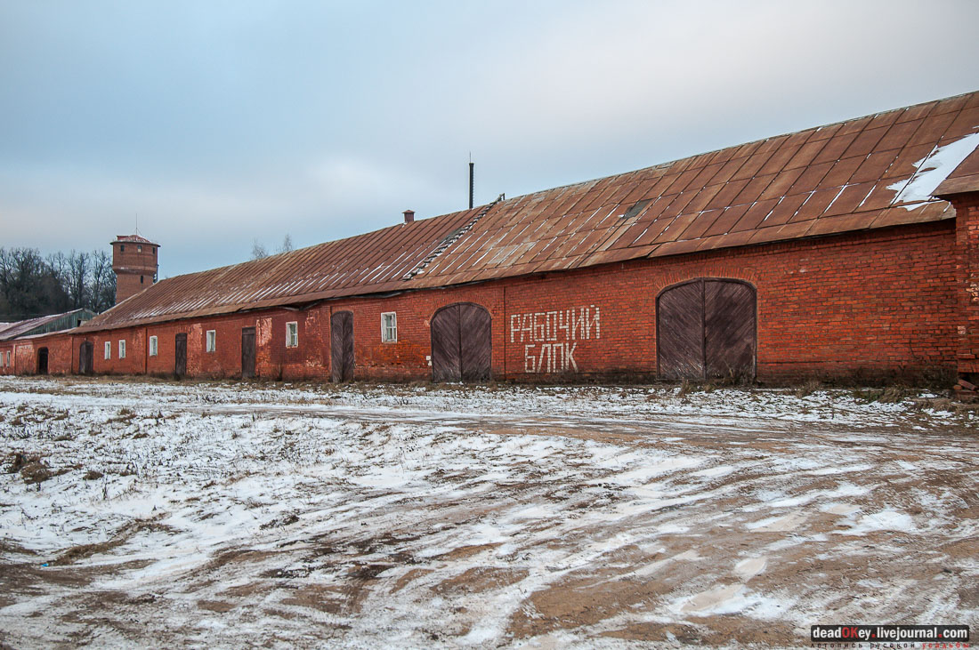 усадьба Ольгово