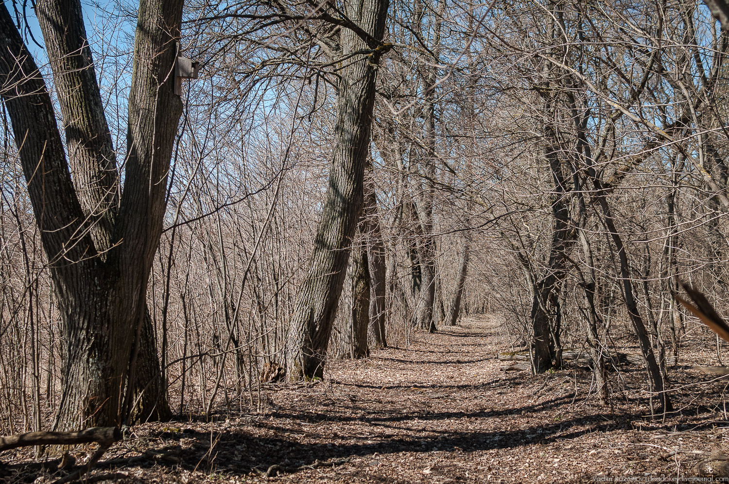 усадьба Моховое, Орловская область