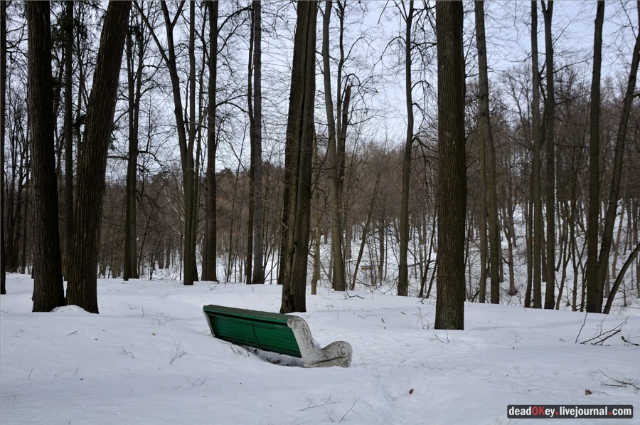 усадьба Райки