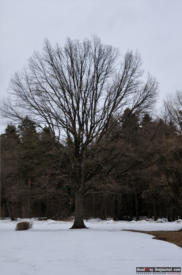 усадьба Воробьево
