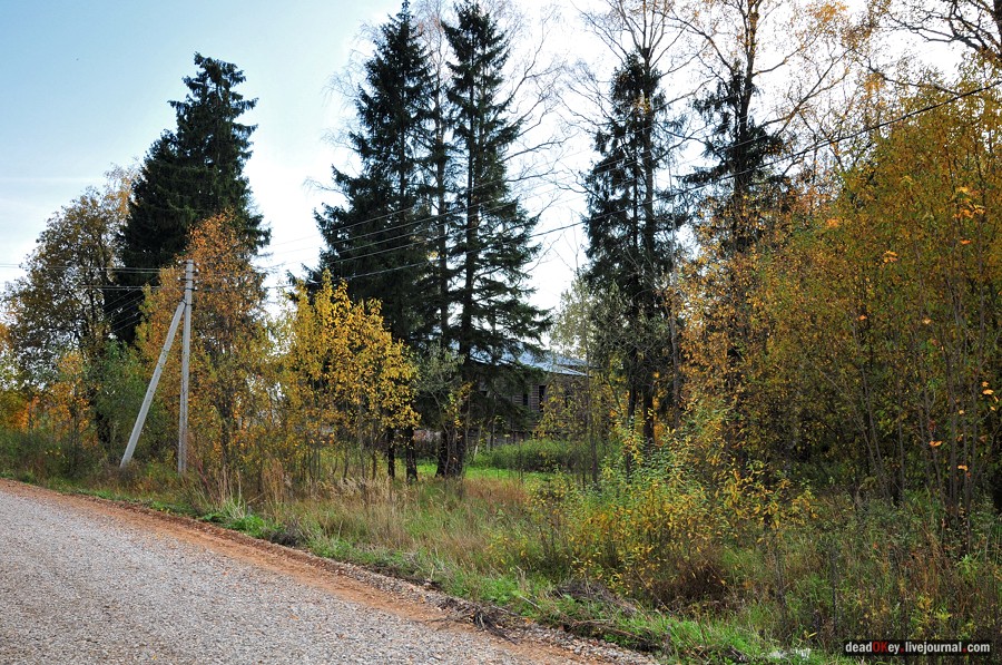 усадьба Яковлево