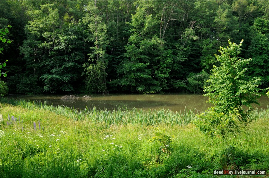 усадьба Кудрявцево