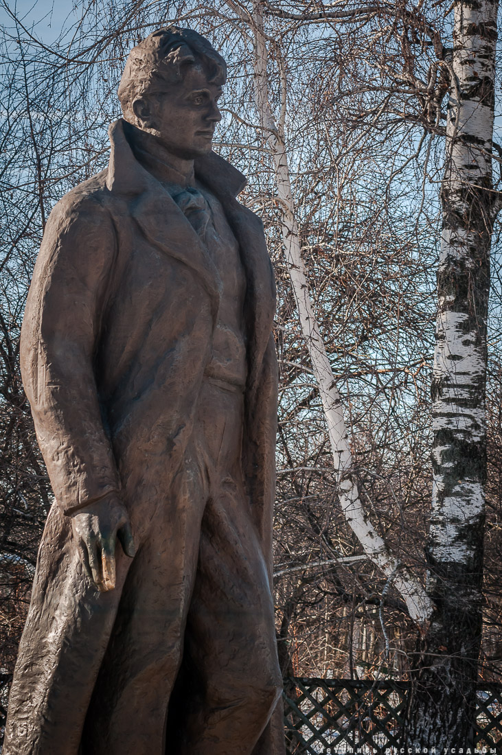 Усадебный экспресс в Константиново