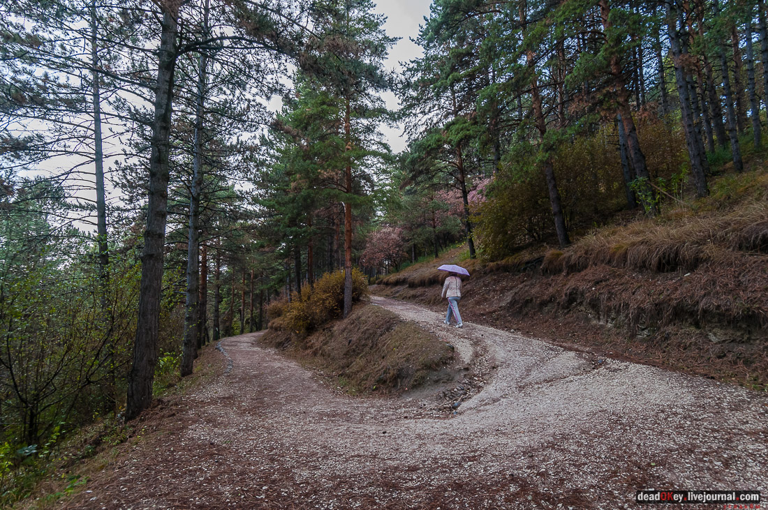Кисловодский курортный парк, г. Кисловодск, верхний парк