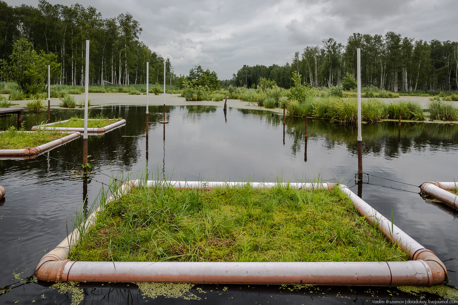 Лосиный остров