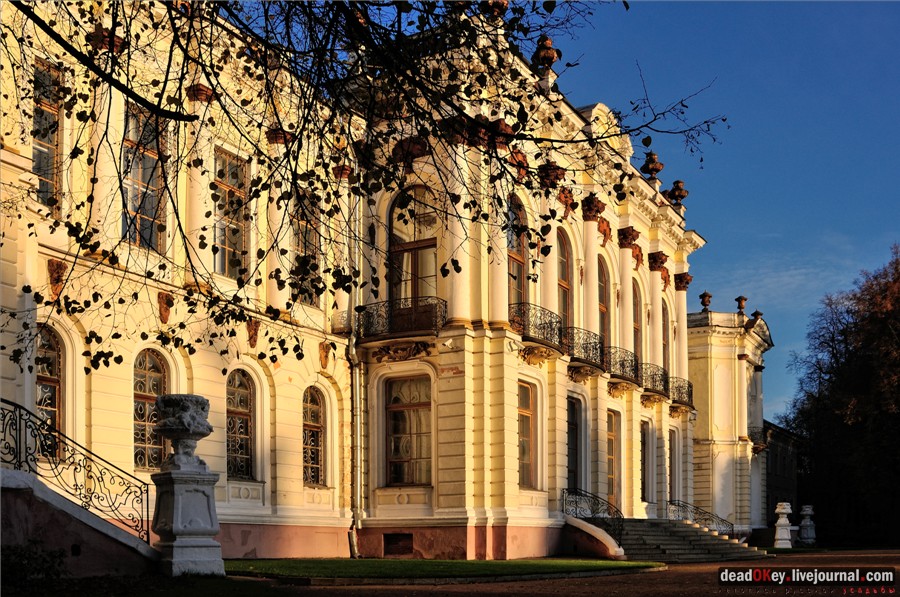 картина Усадьба Петровское-Разумовское, автор Наиля Бутусова