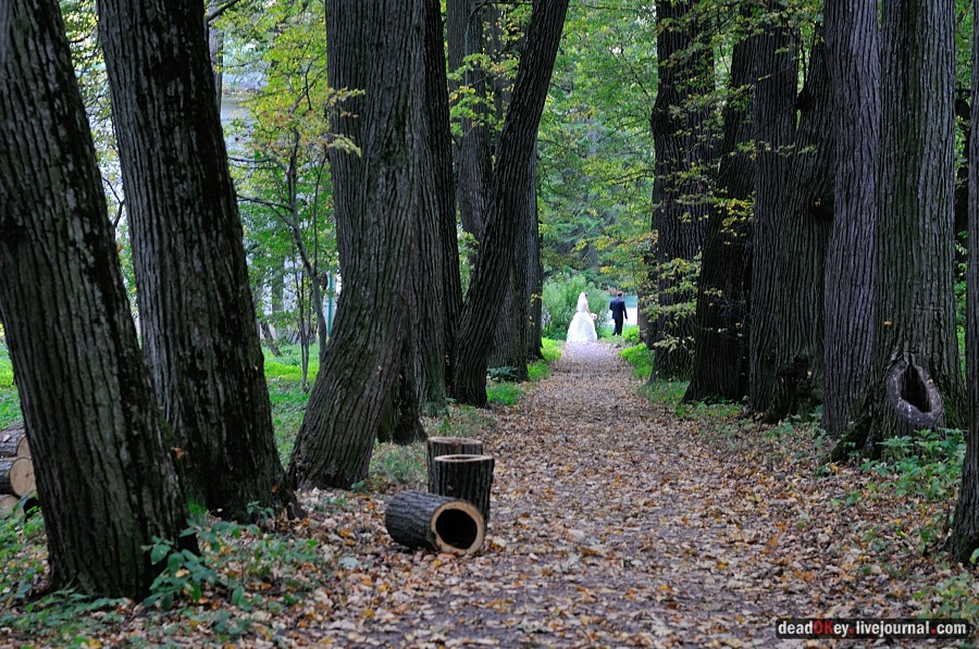 усадьба Ясная Поляна