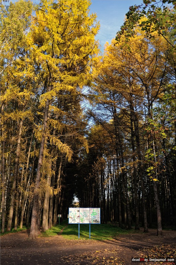 усадьба Петровское-Разумовское