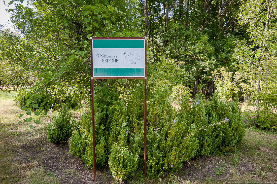 усадьба Барсуково