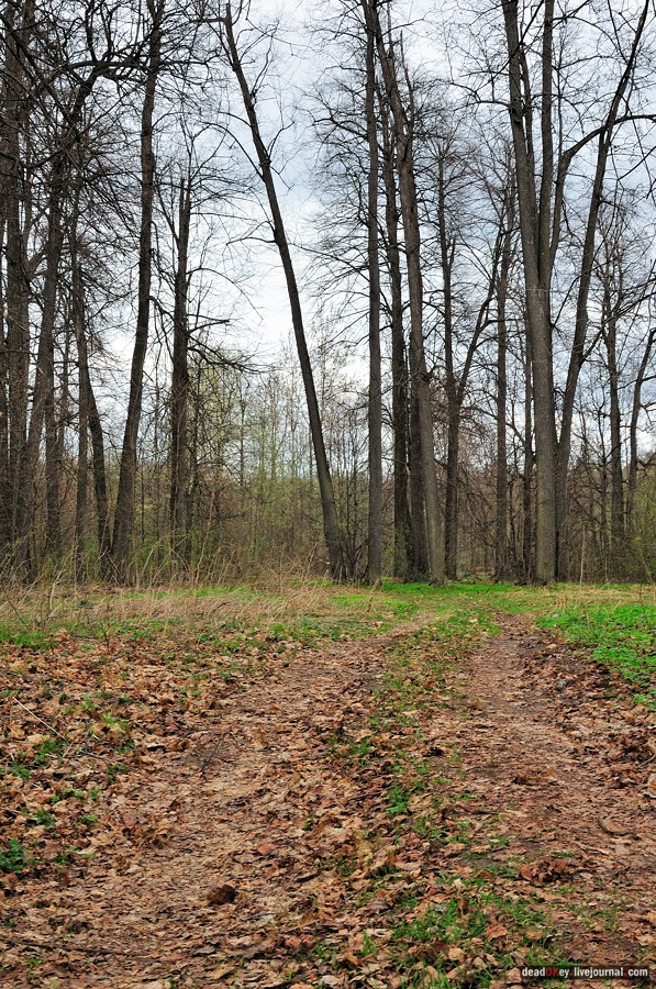 усадьба Антипино