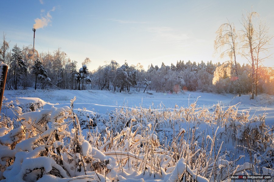 усадьба Полушкино