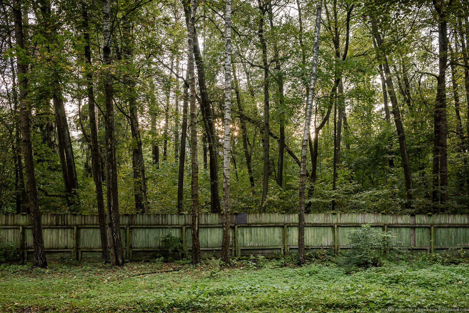 Алексеевская роща, путевой дворец Алексея Михайловича, Лосиный остров, музей охоты