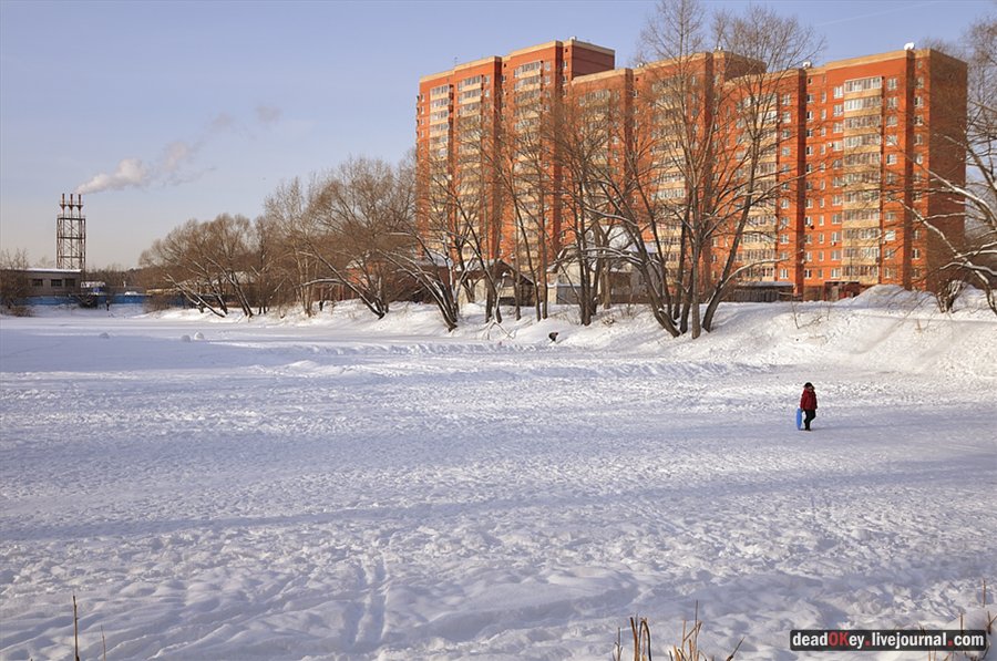 усадьба Коренево