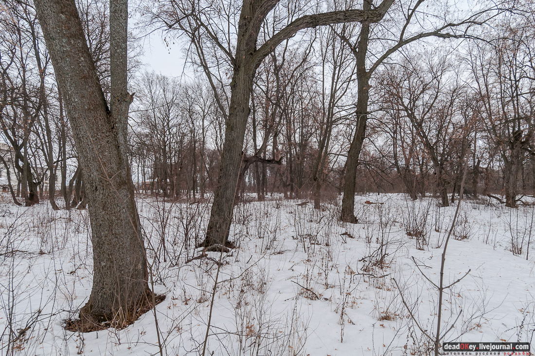 усадьба Репец