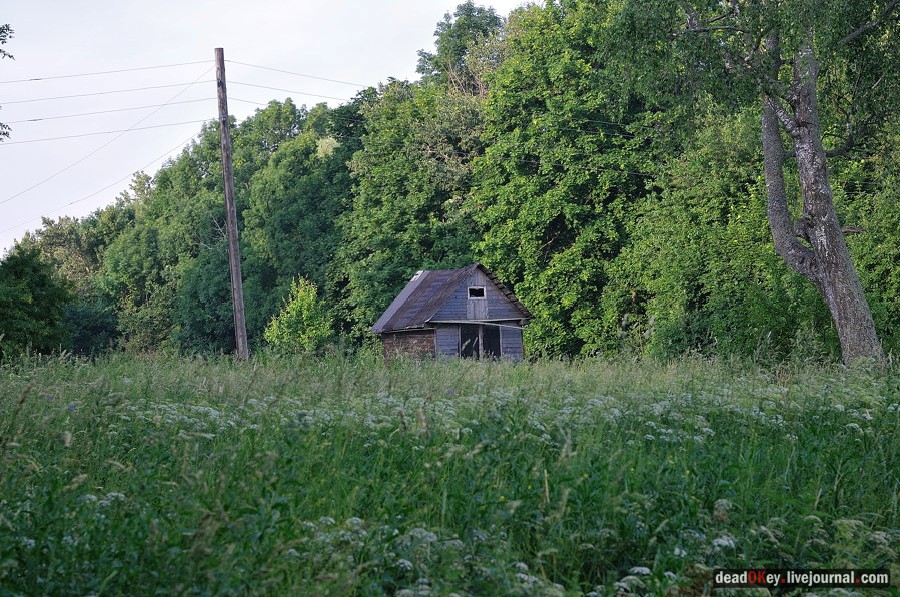 усадьба Клины