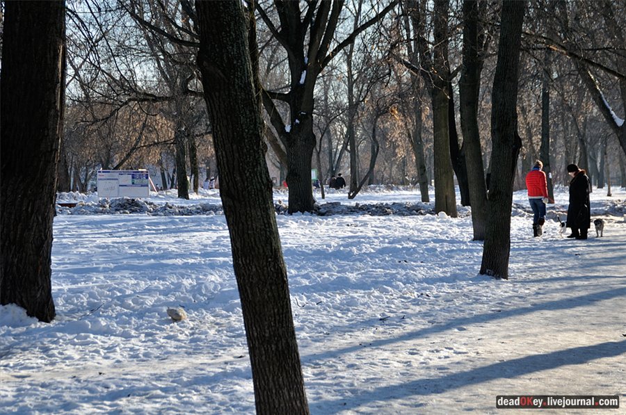 усадьба Перово