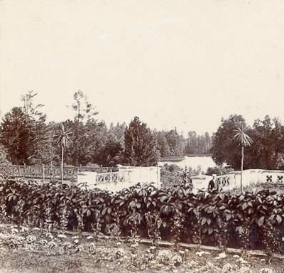 усадьба Марфино старые фотографии.