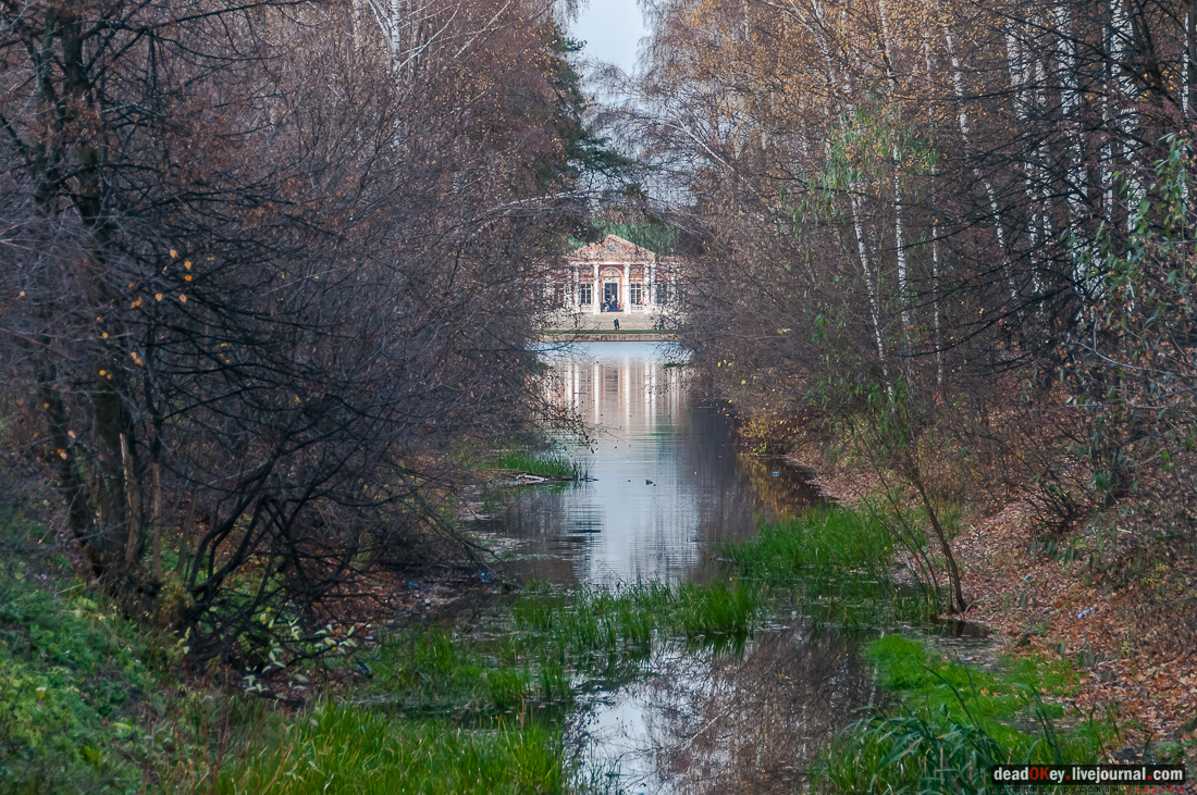 Вокруг Кусково