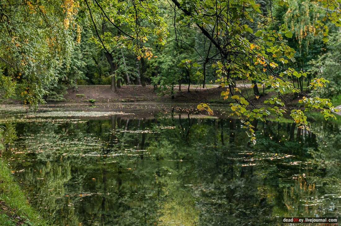 усадьба Михалково