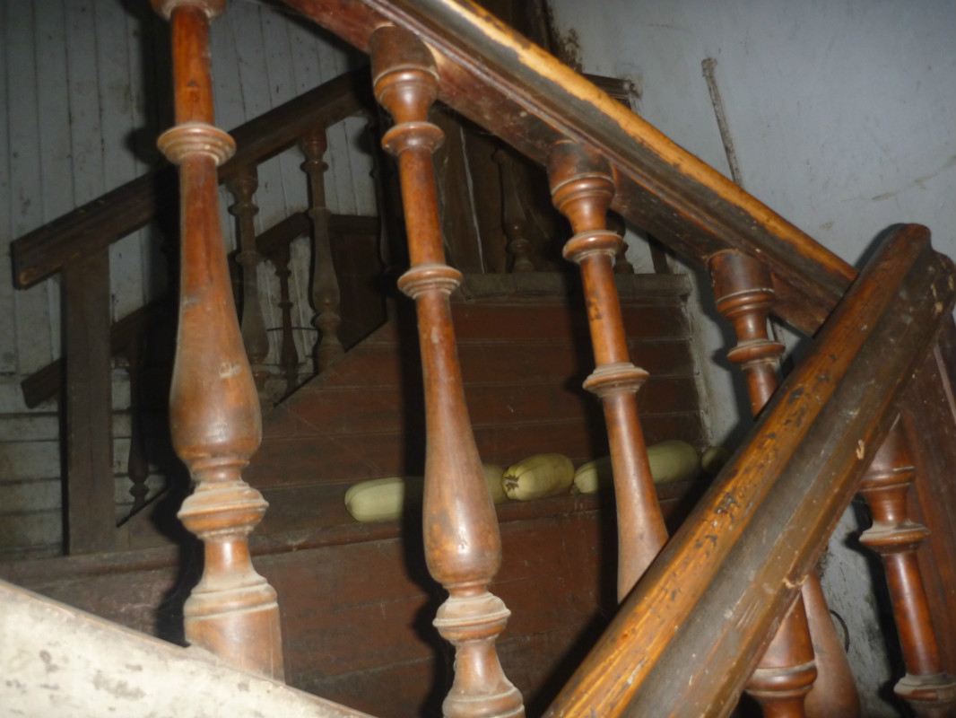 усадьба Меховицы, интерьеры, продает усадьба Чистые Росы