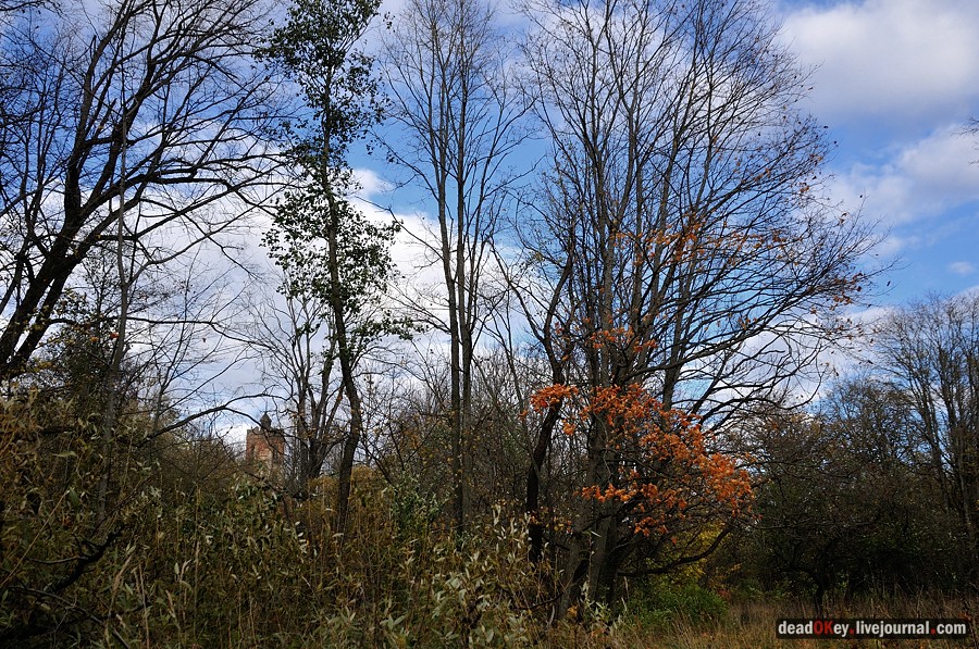 усадьба Авчурино