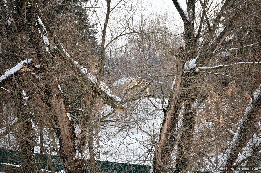 усадьба Котляково