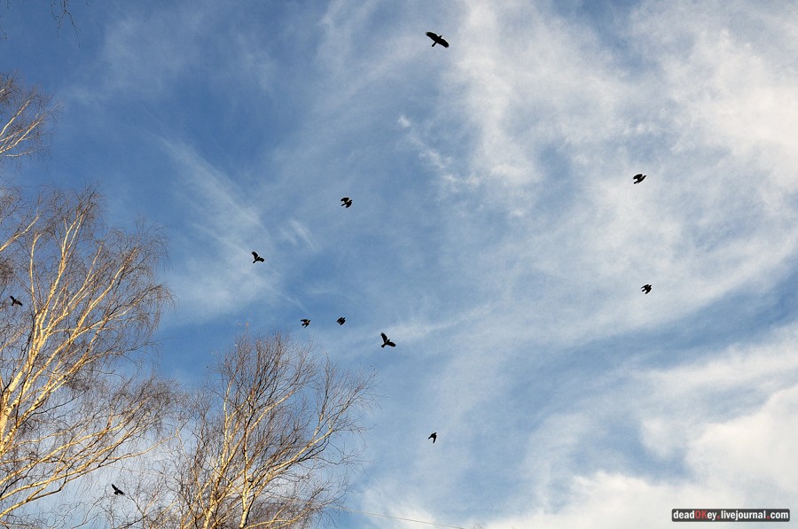 усадьба Бережки