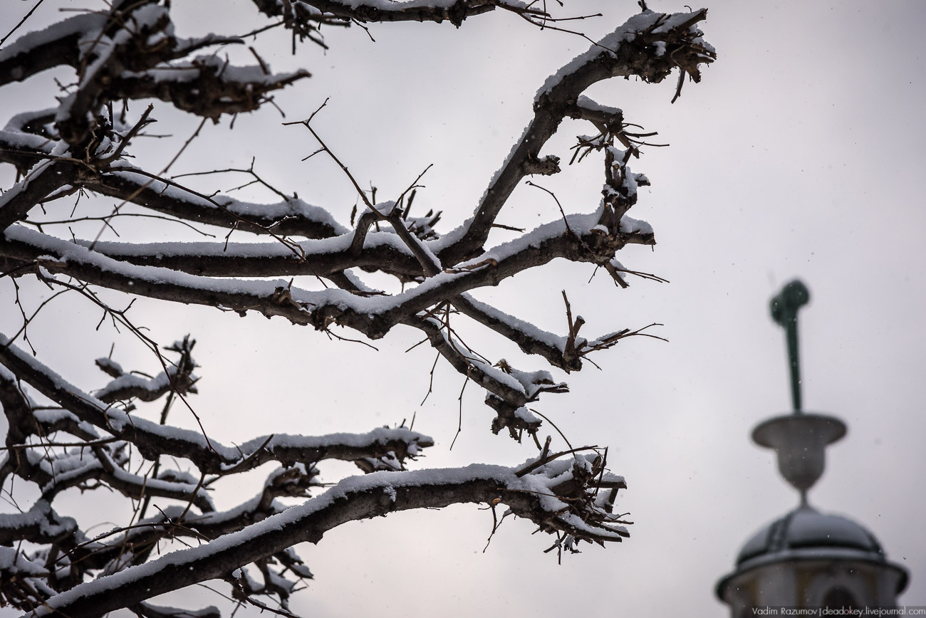 Усадьба Кусково зимой, 2018 год