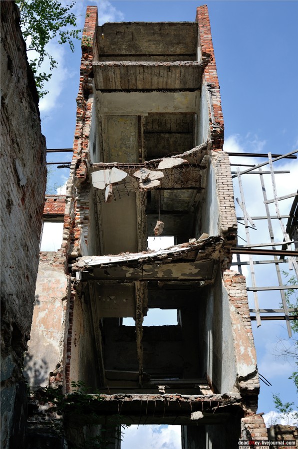 усадьба Глинки Якова Брюса (пансионат Монино)