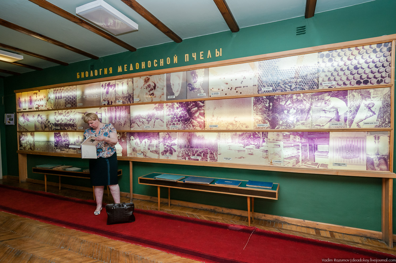 НИИ Пчеловодства, Рязанская область, Рыбное