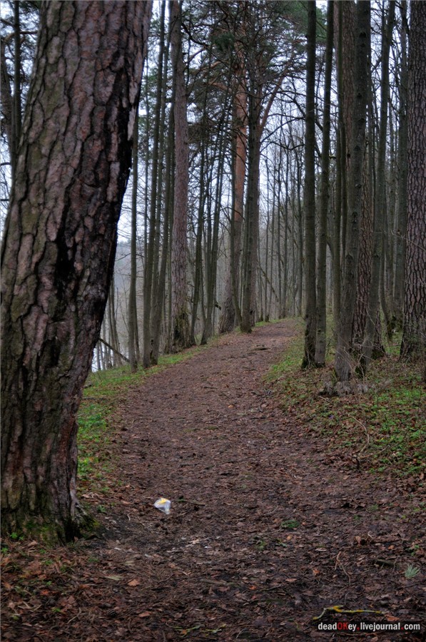 усадьба Полотняный Завод Гончаровых