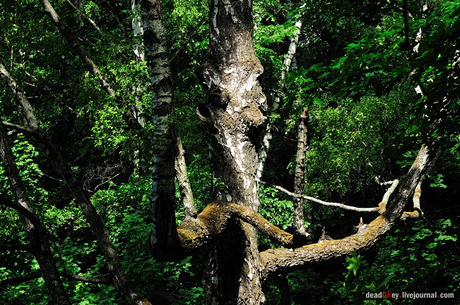усадьба Братцево