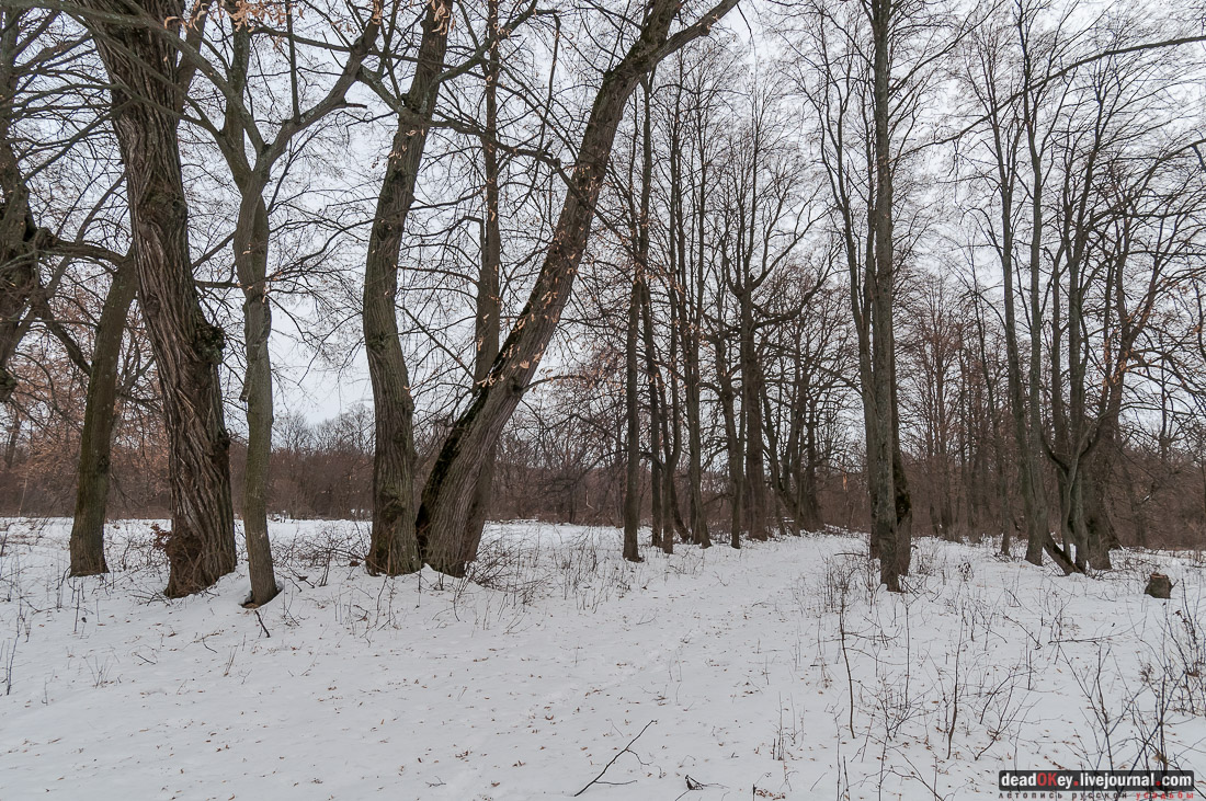 усадьба Репец